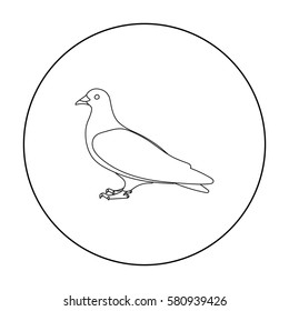 Pigeon icon in outline style isolated on white background. Bird symbol stock vector illustration.