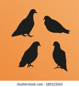 Pigeon icon set