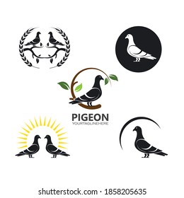 plantillas de diseño de ilustraciones vectoriales de iconos de pichón para web
