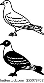 Iconos de paloma. Ilustraciones vectoriales blancas y negras. Paloma, Pájaro. Agricultura, agricultura. Para el diseño de libros para colorear. Concepto de animales domésticos