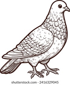PIGEON ILLUSTRATIONS FOR CHILDREN TO LEARN TO COLORING