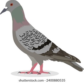Pirulla aislada en fondo blanco ilustración de vector de pájaro realista