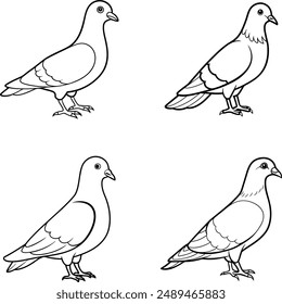 The pigeon line art coloring page template