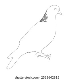 The pigeon line art coloring page template, One continuous line drawing of flying dove with two hands. Bird symbol of peace and freedom in simple linear style