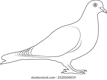 Pigeon line art moderno vetor Design | desenho preto e branco de um pombo