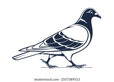 Pigeon Line Art Vector Illustration