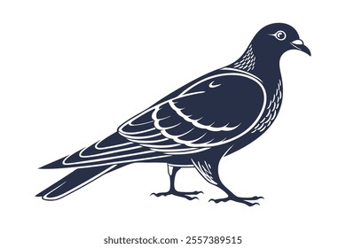 Pigeon Line Art Vector Illustration