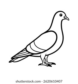 vetor de arte de linha de pombo sobre fundo branco