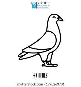 Pigeon line icon, outline vector sign. Animal concept. Eps 10 vector illustration.
