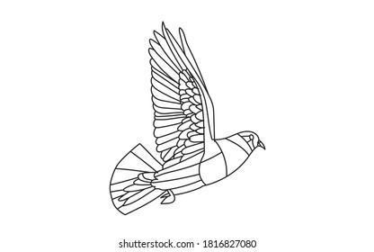 Pigeon line illustration. Geometric abstract animal drawings. Contour drawing.