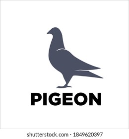 pigeon logo designs simple modern elegant