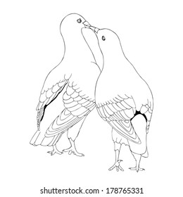 Pigeon love illustration