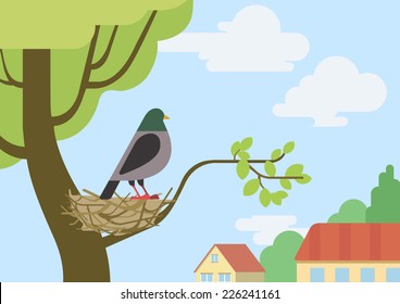 Pigeon (male dove) on street tree branch nest flat design cartoon vector wild animals birds. Flat zoo nature children collection.