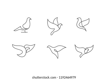 pigeon mono line logo icon designs vector