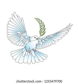 pigeon with olive branch isolated on white background vector drawing