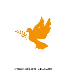 pigeon olive leaf