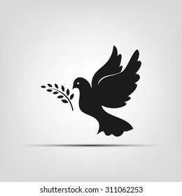 pigeon olive leaf