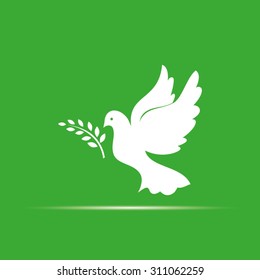pigeon olive leaf