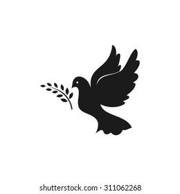 pigeon olive leaf
