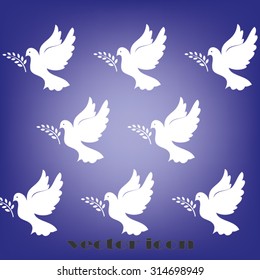 pigeon olive leaf