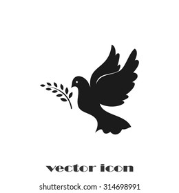 pigeon olive leaf