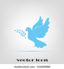 pigeon olive leaf
