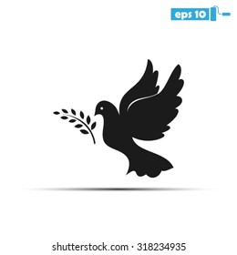 pigeon olive leaf