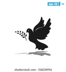 pigeon olive leaf
