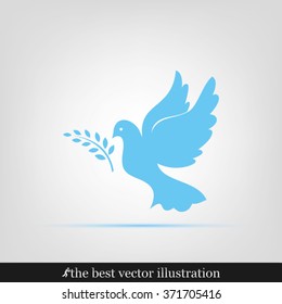pigeon olive leaf