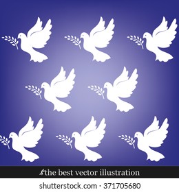 pigeon olive leaf
