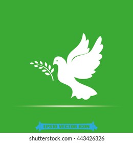 Pigeon and olive leaf icon vector illustration eps10.