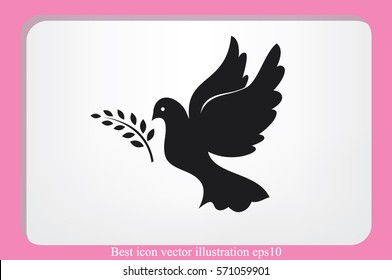 Pigeon Olive Leaf icon vector illustration.