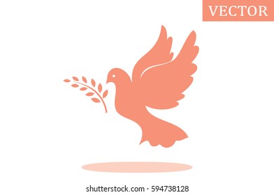 Pigeon Olive Leaf icon vector illustration eps10.