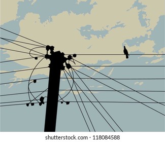 A pigeon on electric cable