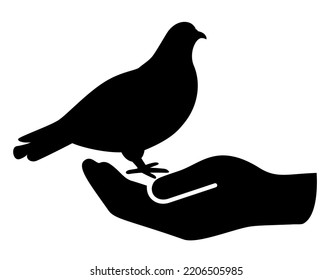 Pigeon on human hand vector illustration isolated over white background, abstract web design