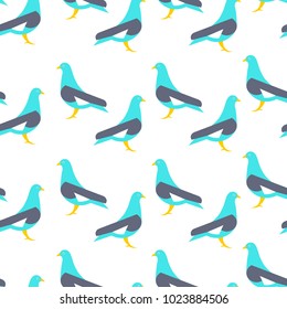 pigeon on a white background. vector illustration.