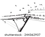 Pigeon on wire and flying ,Black and white. Bangkok Thailand.illustration.