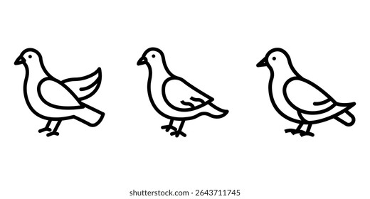 pigeon outline or line icon design bundle.