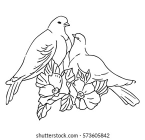 pigeon with pair