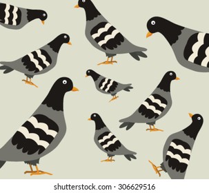 Pigeon pattern