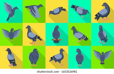 Pigeon of peace flat vector illustration on white background.Vector illustration set icon dove of bird .Isolated set flat icon pigeon.
