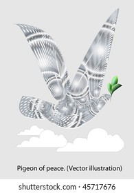 Pigeon of peace. (Vector illustration)