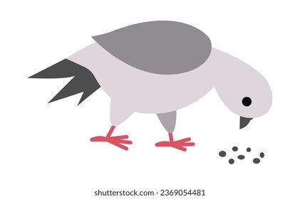 Pigeon pecking seeds. City bird vector illustration. Cute character icon isolated on white background. French symbol picture
