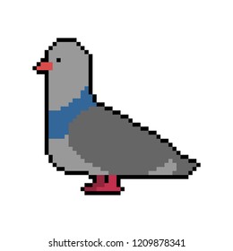 Pigeon pixel art. Dove 8 bit. Vector illustration
