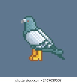 Pigeon in rain boots, pixel art meme