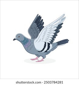 Pigeon ready to fly vector illustration