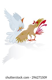 Pigeon and rooster in fight.