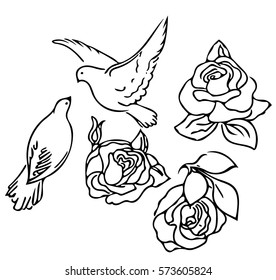 pigeon with roses