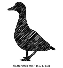 Pigeon scribble sketch line art vector design