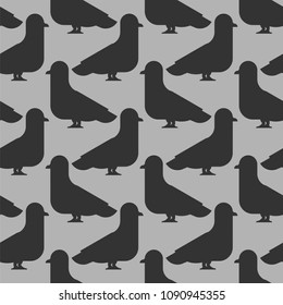 Pigeon seamless pattern. Dove background. Vector illustration
